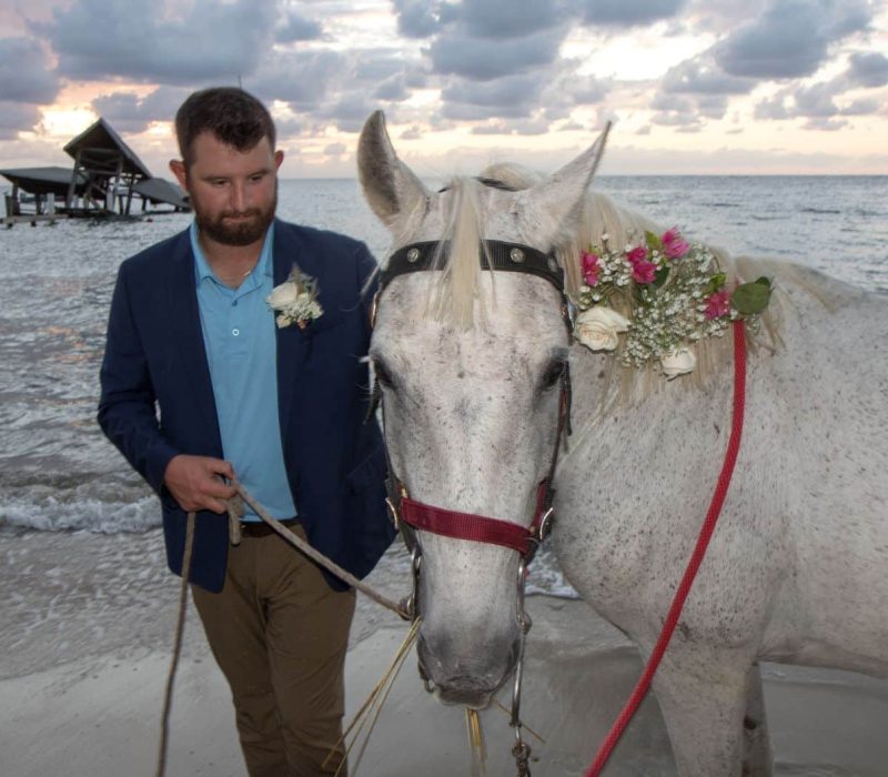 Husband with horse