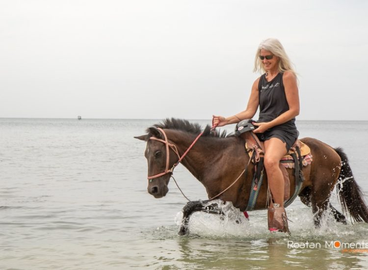 Roatan Horseback Riding Tours