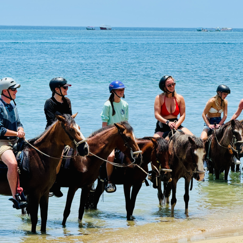 Roatan Activities Horseback Riding