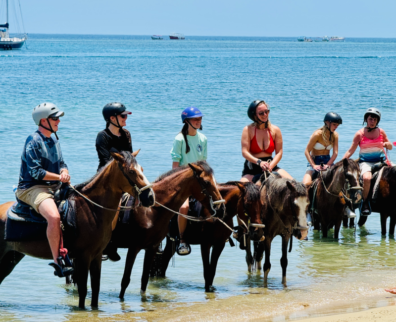 Roatan Activities Horseback Riding