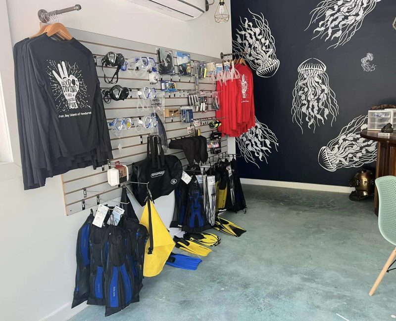 Blue moon scuba shop
