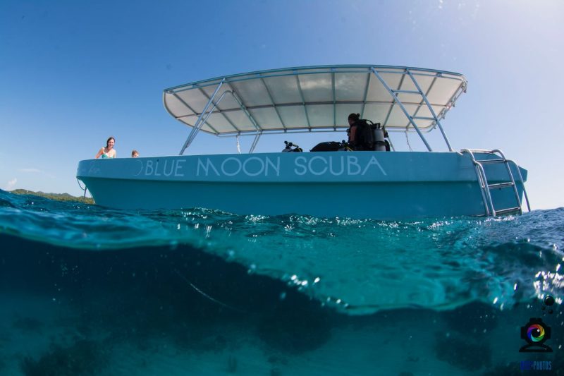 Blue moon scuba boat