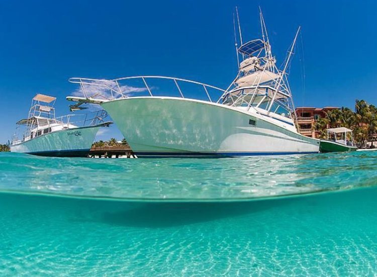 Charter