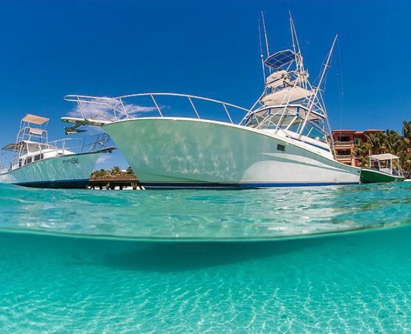Charter