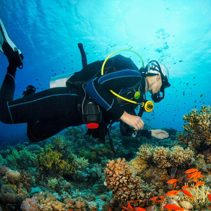 dive package vacation roatan west end dive package vacation roatan